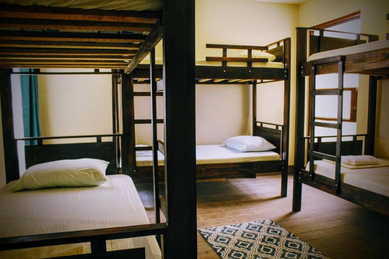 Stray Cat Hostel