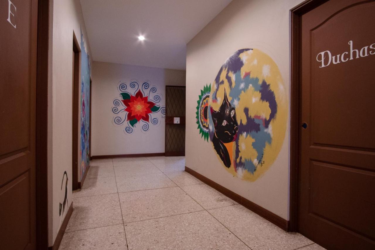 Stray Cat Hostel *