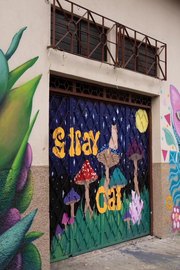 Stray Cat *